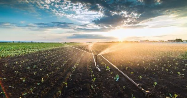 República Dominicana busca inversiones chilenas para modernizar el riego agrícola
